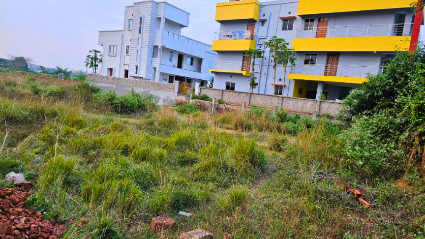 Copy of OD Groups (3)